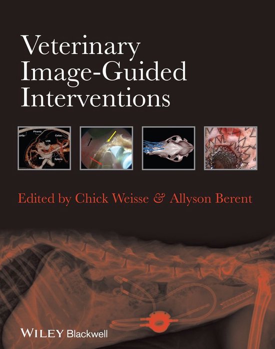 Veterinary Image-Guided Interventions - cover