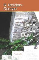 La Ballade de David Haize