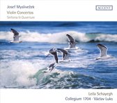 Leila Schayegh - Collegium 1704 & Vaclav Luks - Violin Concertos - Sinfonia & Overture (CD)