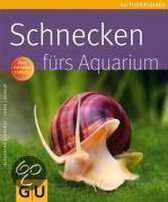 Schnecken fürs Aquarium