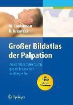 Grosser Bildatlas der Palpation