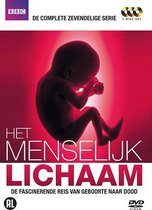Het Menselijk Lichaam - De fascinerende reis van geboorte naar dood
