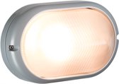 Bulleye LED buitenlamp zilver, 220 volt