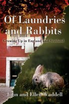 Of Laundries and Rabbits