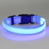 hondenhalsband led verlichting medium blauw