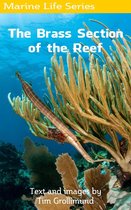Marine Life - The Brass Section of the Reef