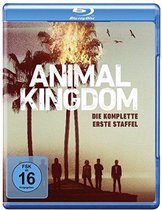 Animal Kingdom - Seizoen 1 (Blu-ray) (Import)