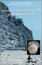 Fossils from the Lower Lias of the Dorset Coast