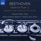 Kazunori Seo, Mitsuo Kodama, Makoto Ueno - Works For Flute, Vol. 2 (CD)