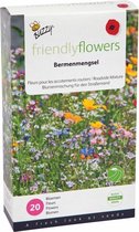 Buzzy® Friendly Flowers Mix Bermenmengsel 15m²