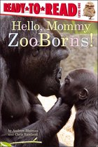 ZooBorns 1 - Hello, Mommy ZooBorns!