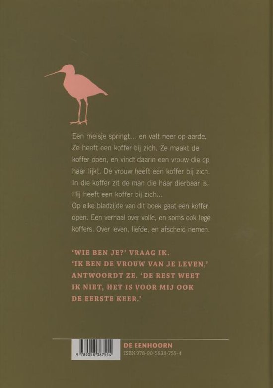 Springdag, Anne Provoost 9789058387554 Boeken