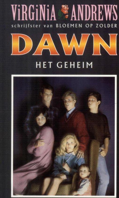 Cover van het boek 'Dawn het geheim pap'