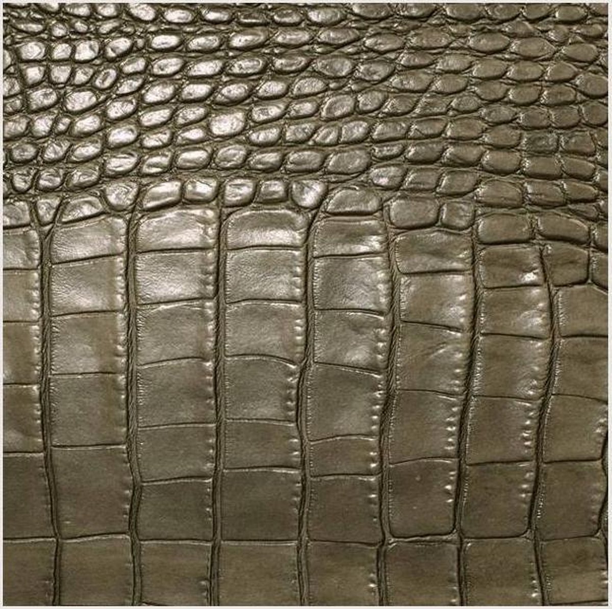 Coaster Leatherixx Gator 10 x 10 cm Cedar