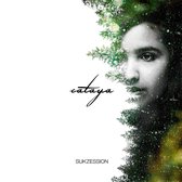 Cataya - Sukzession (LP)