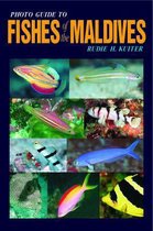 Photo Guide to Fishes of the Maldives