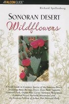 Sonoran Desert Wildflowers