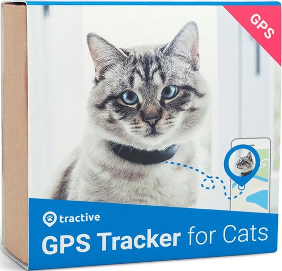 Collier GPS pour chat : quel est le meilleur traceur de 2024 ?