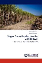 Sugar Cane Production in Zimbabwe