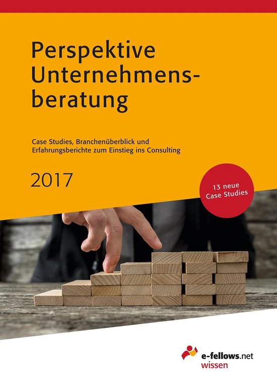 Perspektive Unternehmensberatung 2017 - cover