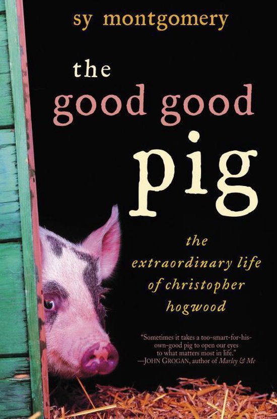 The Good Good Pig - cover