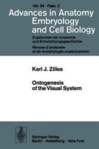 Ontogenesis of the Visual System