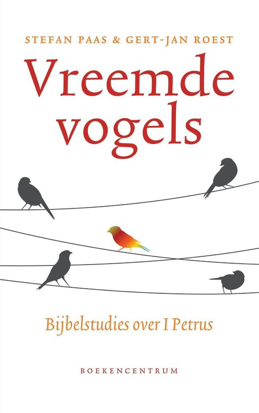 Boek "Vreemde vogels" met op de voorkant silhouetten van vogels op draden. Een kleurrijke vogel valt op.