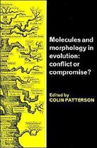 Molecules and Morphology in Evolution