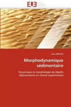 Morphodynamique sédimentaire