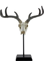 Lifestyle Home Collection - Skull Staand Decoratie Set van 2 - Wit