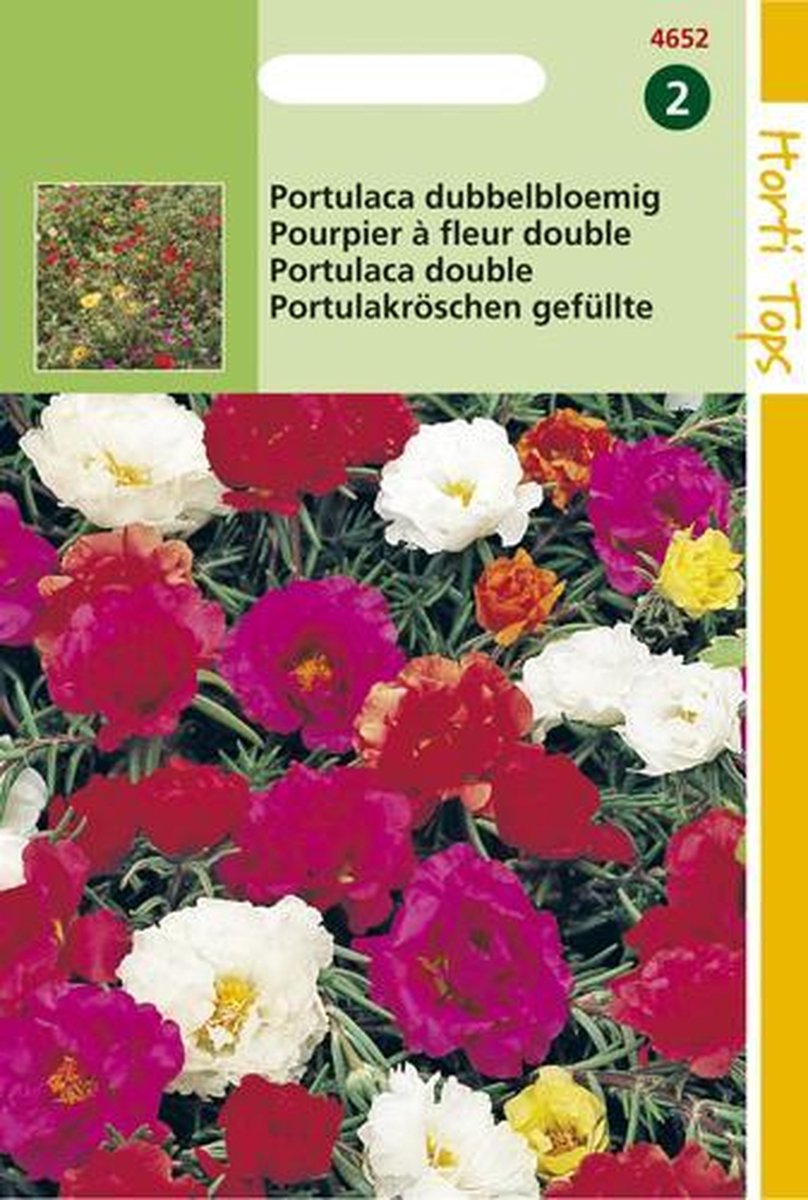 Hortitops Zaden - Portulaca Grd.Fl. Dubbelbloemig Gemengd