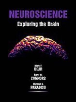 Neuroscience : Exploring the Brain