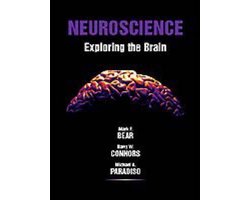 Omslag van Neuroscience : Exploring the Brain