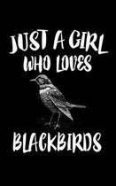 Just A Girl Who Loves Blackbirds