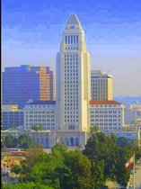 THE California Bail Agent's Reference Book, Los Angeles County 2017