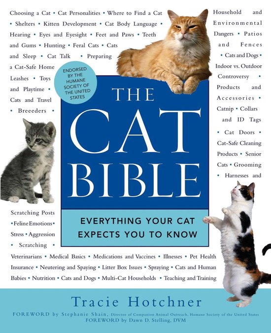 The Cat Bible - cover