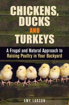 Backyard Farming & Homesteading - Chickens, Ducks and Turkeys: A Frugal and Natural Approach to Raising Poultry in Your Backyard