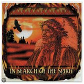 In search of Spirit