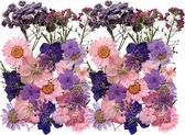 Geperste en gedroogde bloemen en bladeren - Lila, paars, roze - 60 stuks