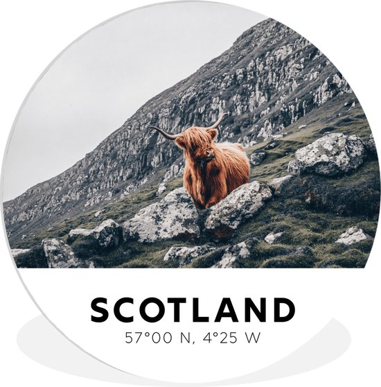 WallCircle - Wandcirkel ⌀ 90 - Schotland - Hooglander - Bergen - Ronde schilderijen woonkamer - Wandbord rond - Muurdecoratie cirkel - Kamer decoratie binnen - Wanddecoratie muurcirkel - Woonaccessoires