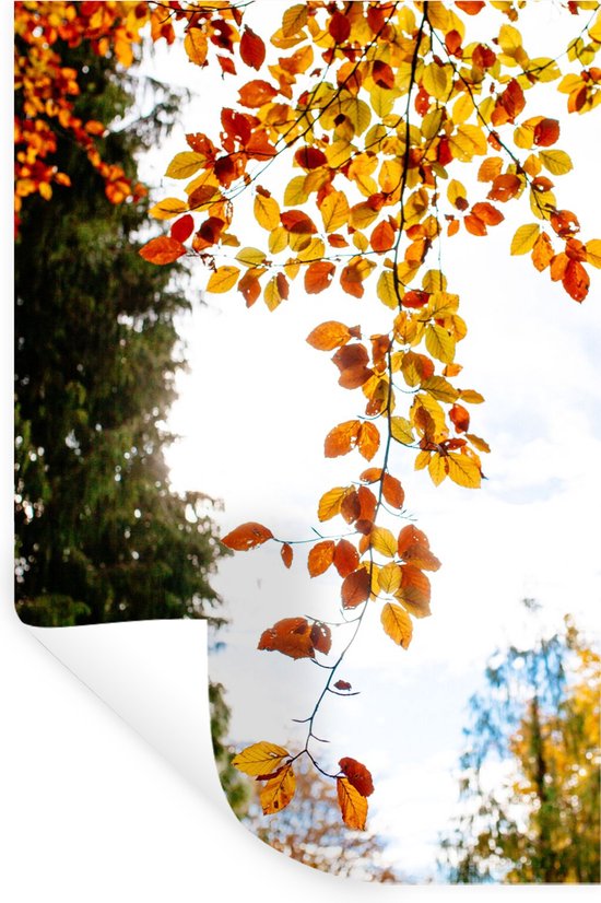 Stickers muraux - Automne - Feuilles - Nature - 80x120 cm - Film adhésif