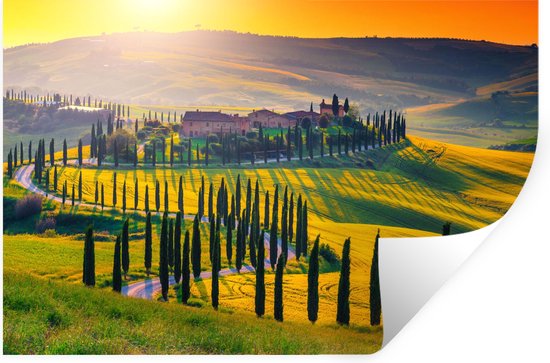 Stickers muraux - Herbe - Soleil - Colline - Paysage - 120x80 cm - Film adhésif