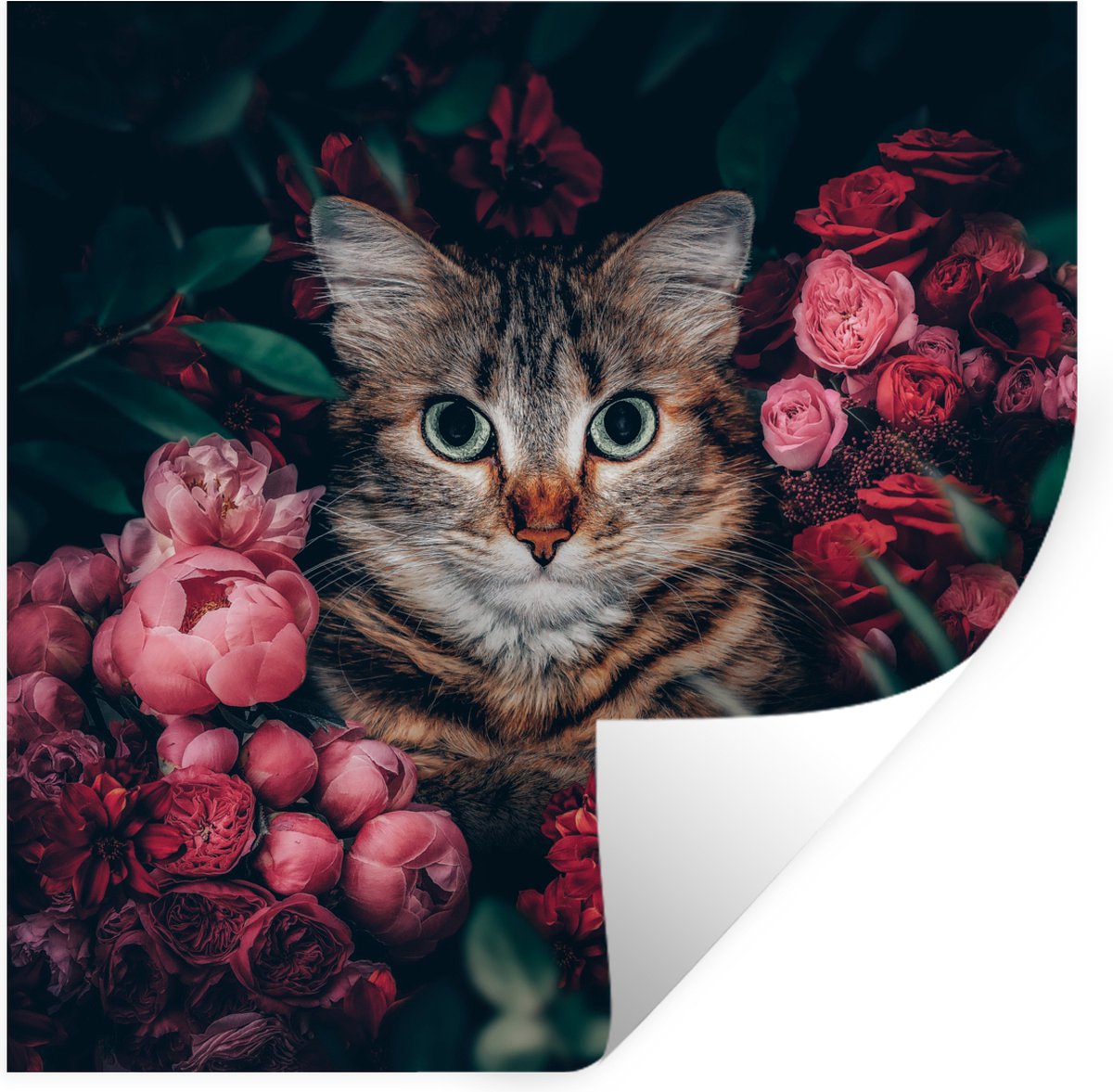 Muurstickers - Sticker Folie - Kat - Bloemen - Bladeren - Botanisch - 120x120 cm - Plakfol
