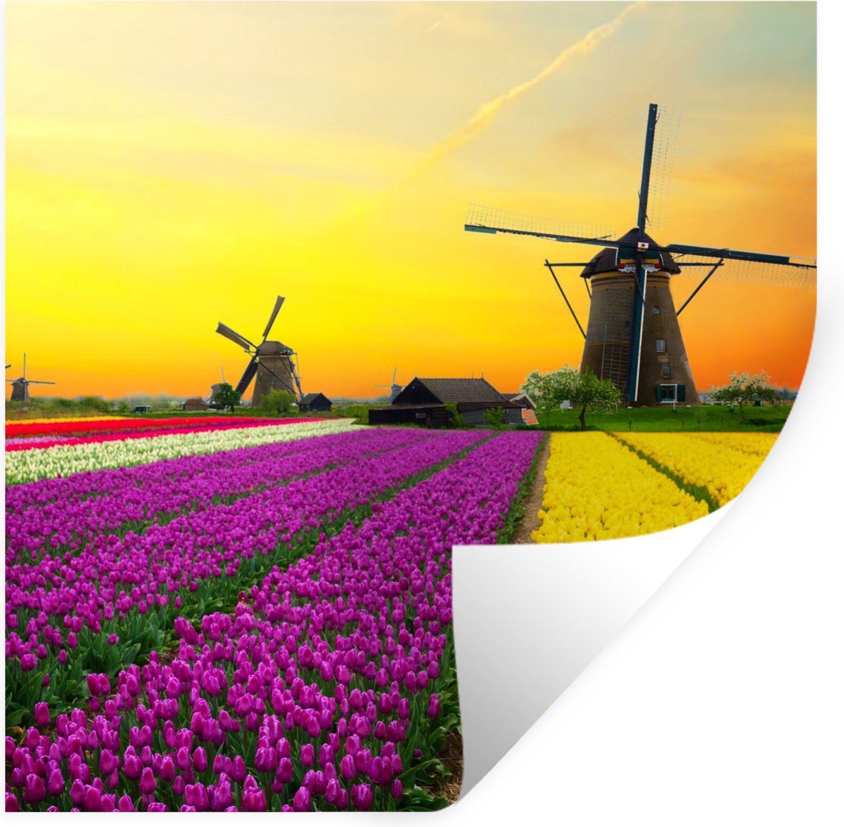 Muurstickers - Sticker Folie - Windmolen - Tulpen - Bloemen - Lente - 80x80 cm - Plakfolie
