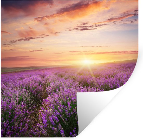 Sticker Design vi presenta Adesivi murali Soffione wall stickers Dandelion