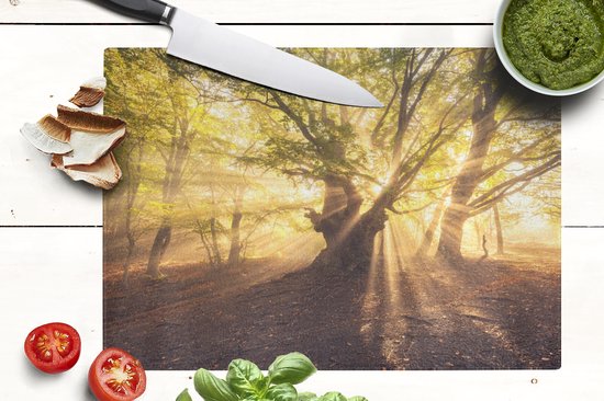 Planche à découper en Verres - 39x28 - Arbre - Forêt - Soleil - Planches à découper en Glas