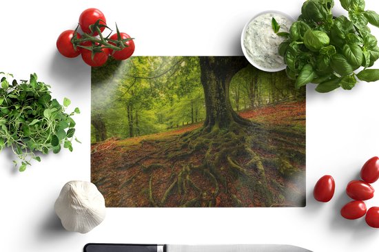 Planche à découper en Verres - 28x20 - Arbre - Forêt - Feuilles d'automne - Planches à découper en Glas