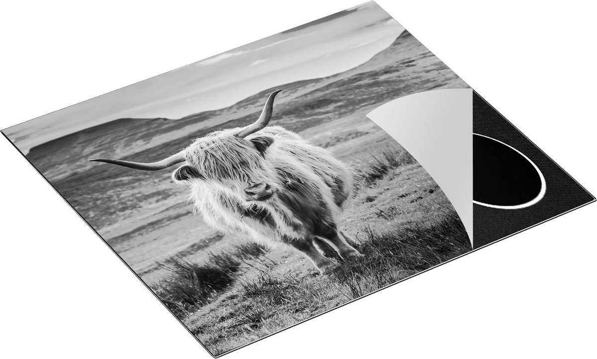 Chefcare Inductie Beschermer Schotse Hooglander in de Wei - Kleur - Zwart Wit - 57,6x51,6 cm - Afdekplaat Inductie - Kookplaat Beschermer - Inductie Mat