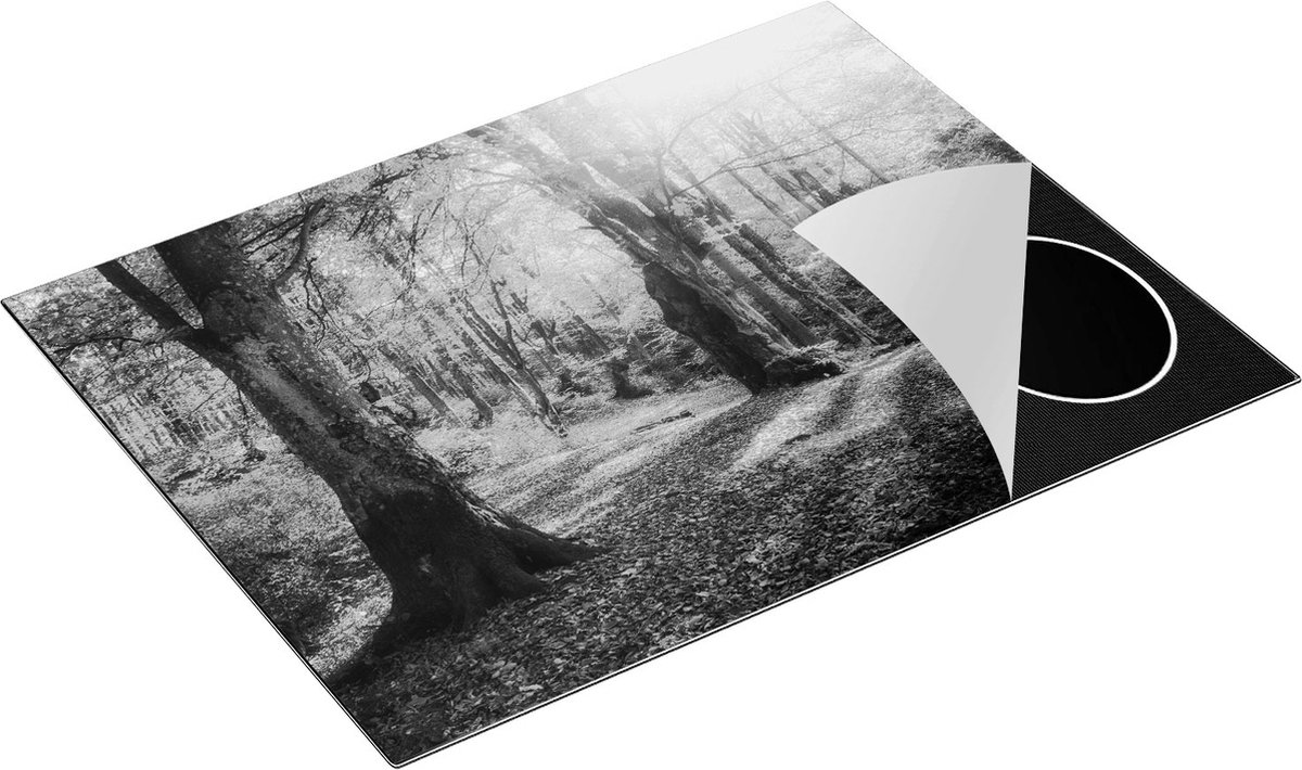 Chefcare Inductie Beschermer Oranje Herfstbos met Zonneschijn - Zwart Wit - 77x59 cm - Afdekplaat Inductie - Kookplaat Beschermer - Inductie Mat