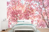 Papier peint Papier peint photo en vinyle - Fleur de cerisier au Japon largeur 450 cm x hauteur 300 cm - Tirage photo sur papier peint (disponible en 7 tailles)